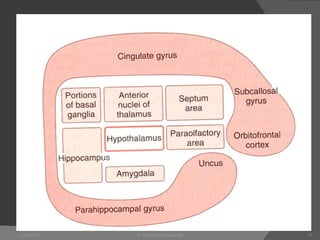 Anatomy and physiology of Limbic System.pdf