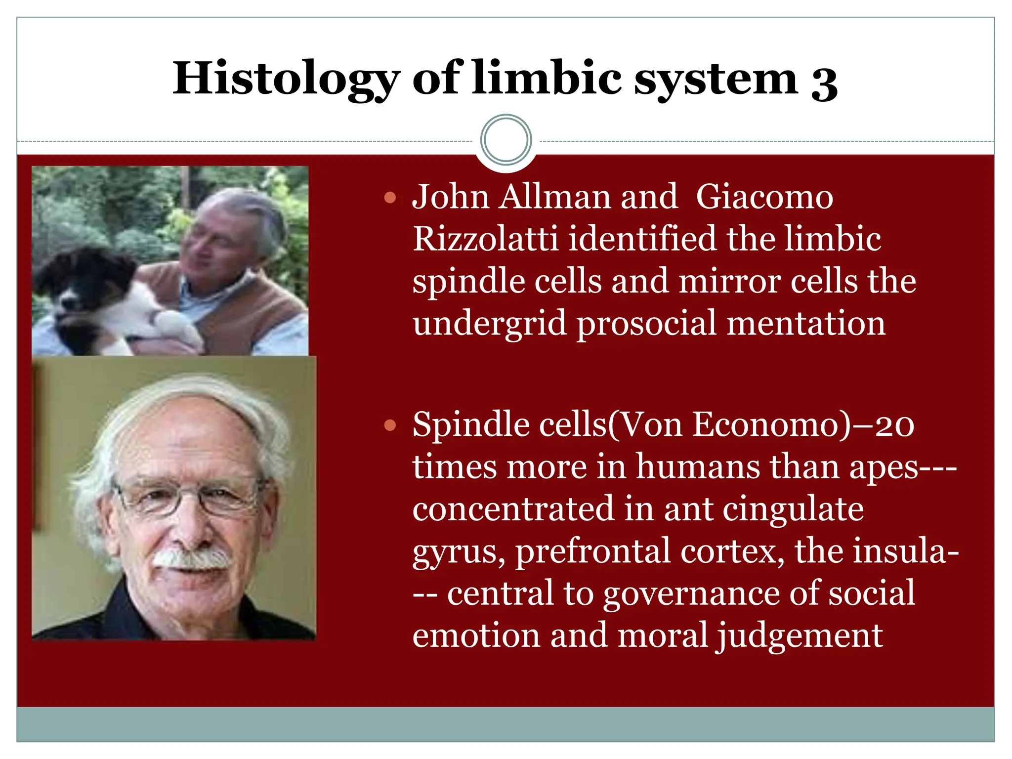 Histology of limbic system 3
 John Allman and Giacomo
Rizzolatti identified the limbic
spindle cells and mirror cells the
undergrid prosocial mentation
 Spindle cells(Von Economo)–20
times more in humans than apes---
concentrated in ant cingulate
gyrus, prefrontal cortex, the insula-
-- central to governance of social
emotion and moral judgement
 