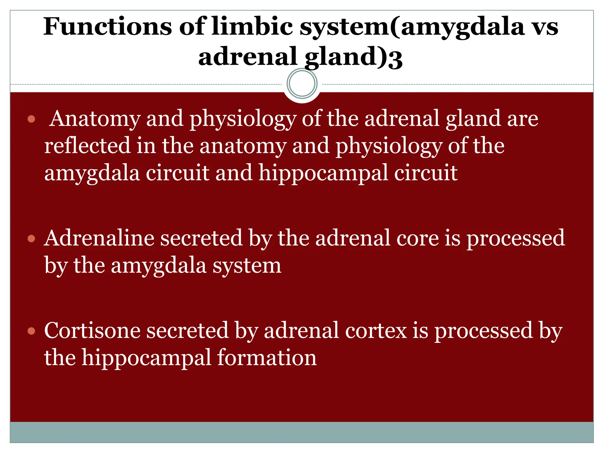 Functions of limbic system(amygdala vs
adrenal gland)3
 Anatomy and physiology of the adrenal gland are
reflected in the anatomy and physiology of the
amygdala circuit and hippocampal circuit
 Adrenaline secreted by the adrenal core is processed
by the amygdala system
 Cortisone secreted by adrenal cortex is processed by
the hippocampal formation
 