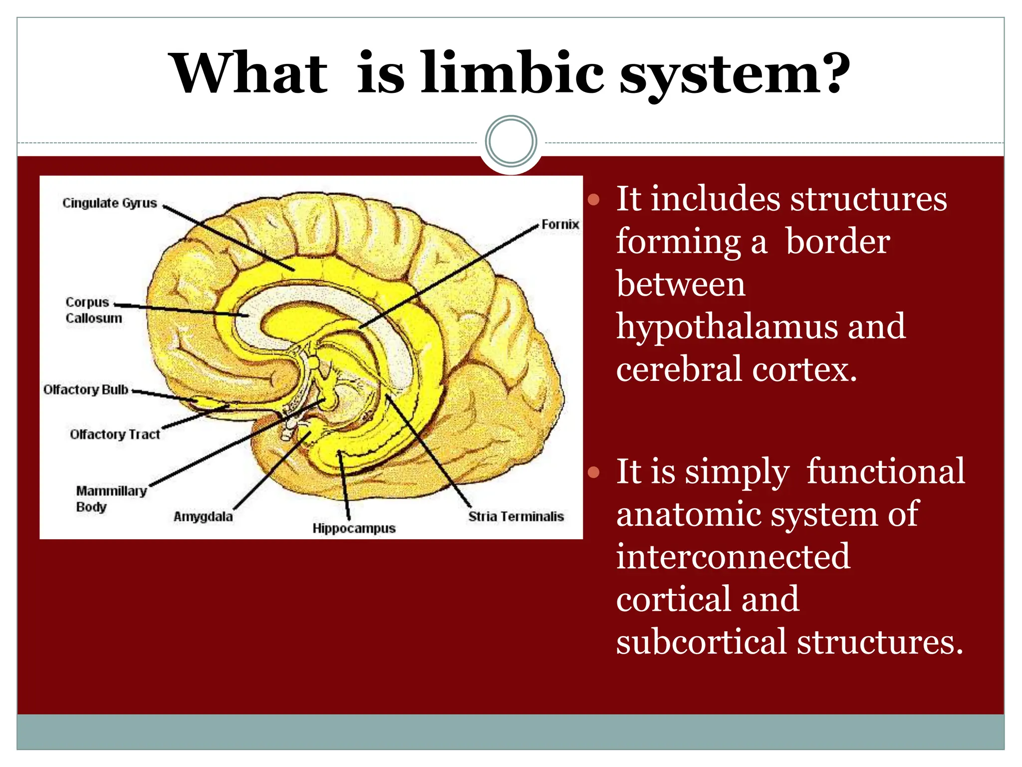 What is limbic system?
 It includes structures
forming a border
between
hypothalamus and
cerebral cortex.
 It is simply functional
anatomic system of
interconnected
cortical and
subcortical structures.
 