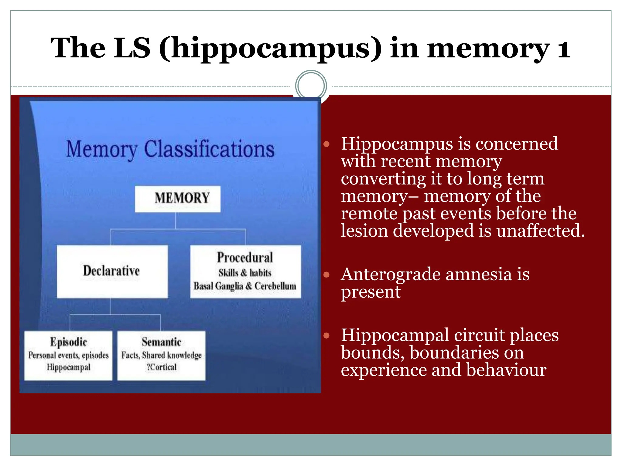 The LS (hippocampus) in memory 1
 Hippocampus is concerned
with recent memory
converting it to long term
memory– memory of the
remote past events before the
lesion developed is unaffected.
 Anterograde amnesia is
present
 Hippocampal circuit places
bounds, boundaries on
experience and behaviour
 