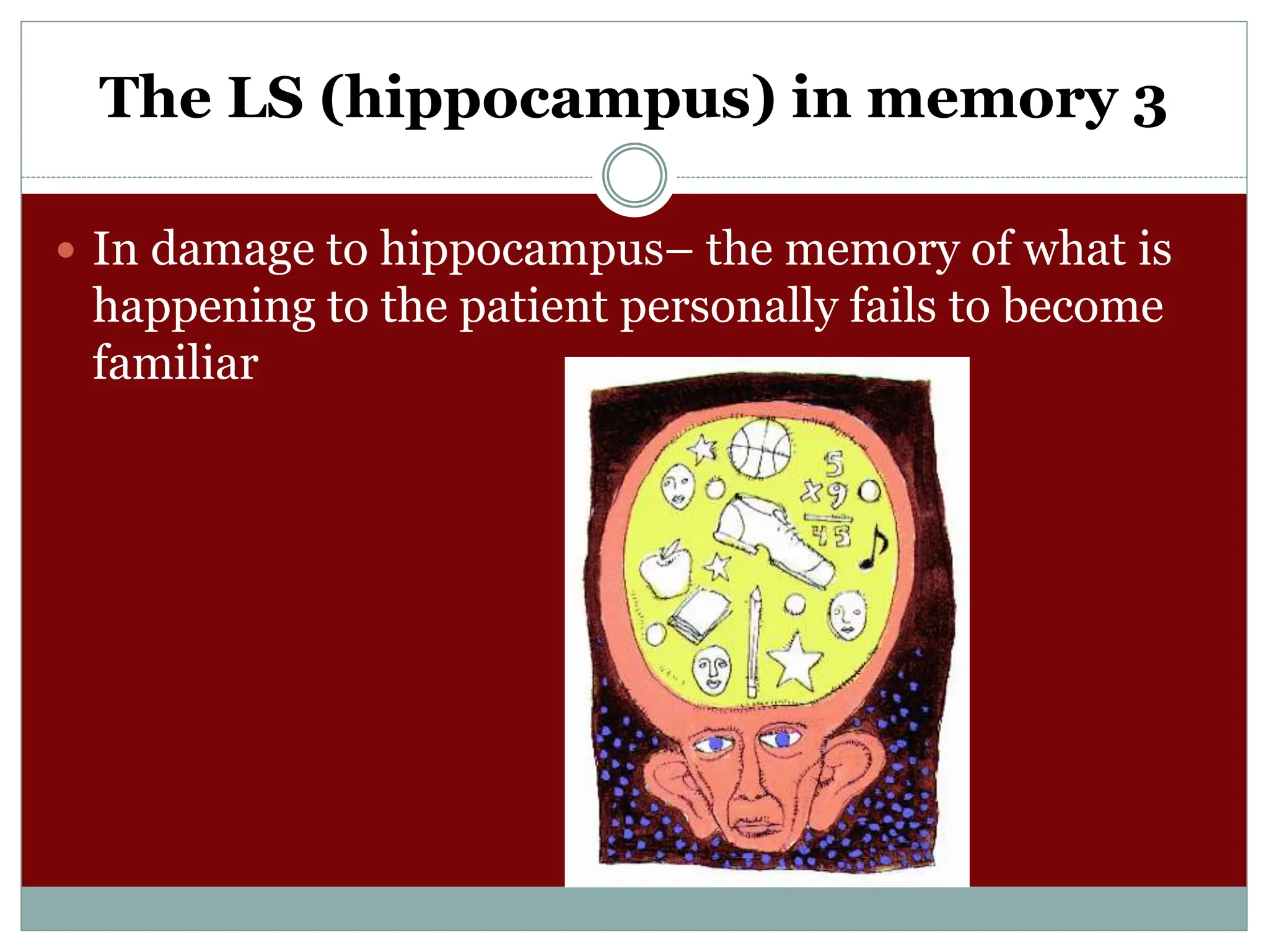 The LS (hippocampus) in memory 3
 In damage to hippocampus– the memory of what is
happening to the patient personally fails to become
familiar
 