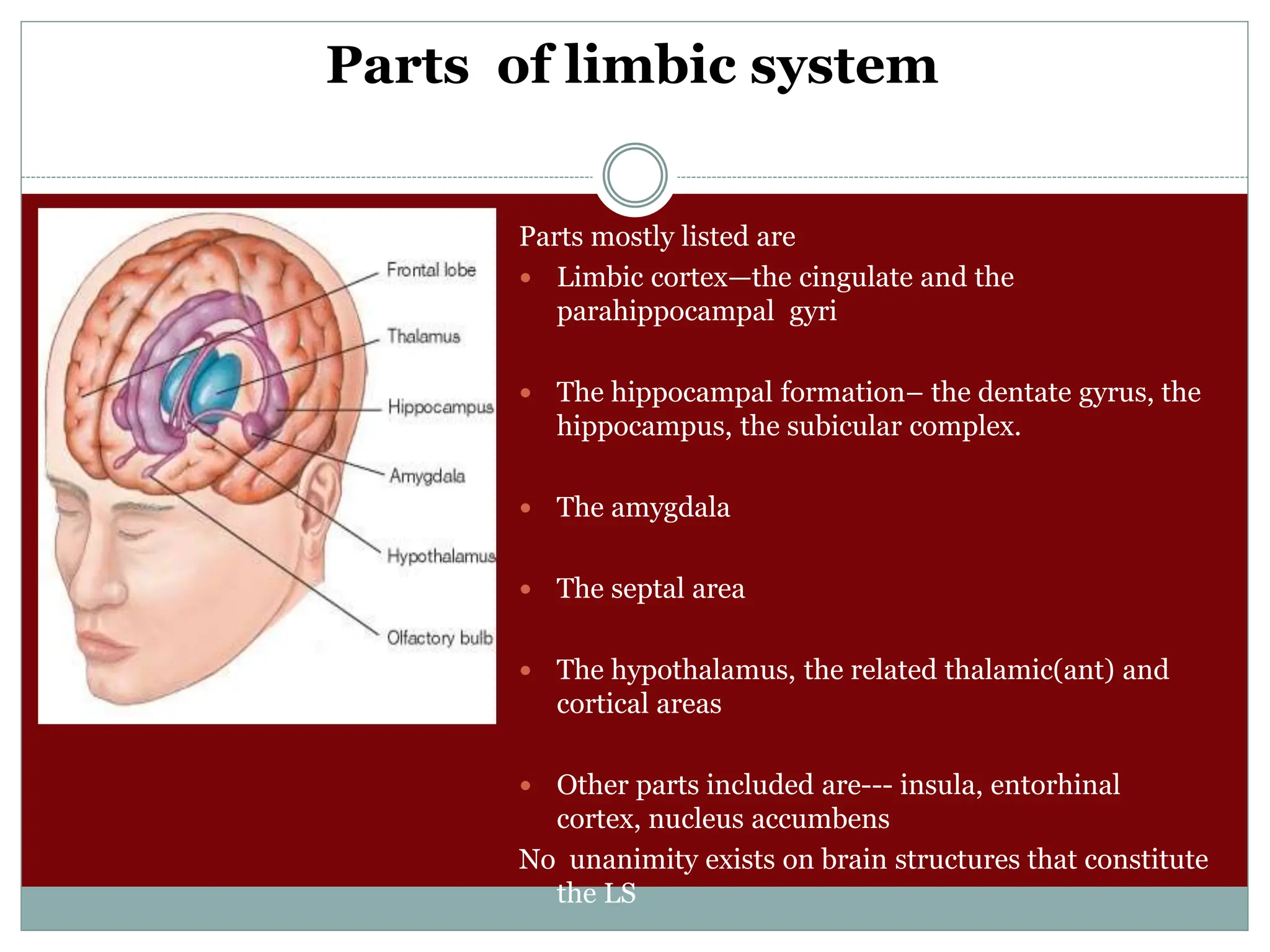 Parts of limbic system
Parts mostly listed are
 Limbic cortex—the cingulate and the
parahippocampal gyri
 The hippocampal formation– the dentate gyrus, the
hippocampus, the subicular complex.
 The amygdala
 The septal area
 The hypothalamus, the related thalamic(ant) and
cortical areas
 Other parts included are--- insula, entorhinal
cortex, nucleus accumbens
No unanimity exists on brain structures that constitute
the LS
 
