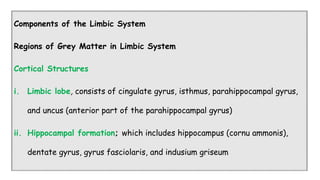 Comprehensive Overview of the Limbic System: Anatomy, Functions, and ...