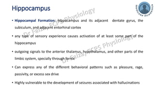 Limbic System - Hypothalamus, Amygdala and Hippocampus | PDF