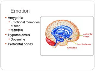 Limbic system and its role in Neuroscience | PPT