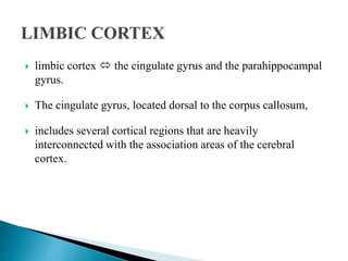  limbic cortex  the cingulate gyrus and the parahippocampal
gyrus.
 The cingulate gyrus, located dorsal to the corpus callosum,
 includes several cortical regions that are heavily
interconnected with the association areas of the cerebral
cortex.
 