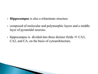  Hippocampus is also a trilaminate structure
 composed of molecular and polymorphic layers and a middle
layer of pyramidal neurons.
 hippocampus is divided into three distinct fields  CA3,
CA2, and CA, on the basis of cytoarchitecture.
 