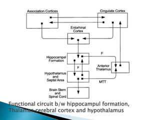 Functional circuit b/w hippocampul formation,
Thalamus,cerebral cortex and hypothalamus
 