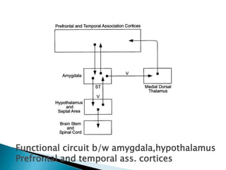 Functional circuit b/w amygdala,hypothalamus
Prefrontal and temporal ass. cortices
 