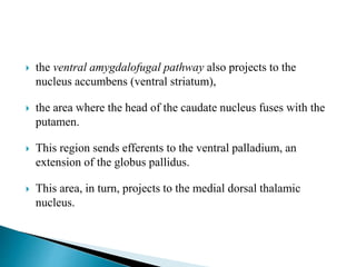  the ventral amygdalofugal pathway also projects to the
nucleus accumbens (ventral striatum),
 the area where the head of the caudate nucleus fuses with the
putamen.
 This region sends efferents to the ventral palladium, an
extension of the globus pallidus.
 This area, in turn, projects to the medial dorsal thalamic
nucleus.
 