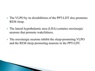  The VLPO by its disinhibition of the PPT-LDT also promotes
REM sleep.
 The lateral hypothalamic area (LHA) contains orexinergic
neurons that promote wakefulness.
 The orexinergic neurons inhibit the sleep-promoting VLPO
and the REM sleep-promoting neurons in the PPT-LDT.
 