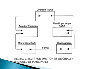 NEURAL CIRCUIT FOR EMOTION AS ORIGINALLY
PROPOSED BY JAMES PAPEZ
 