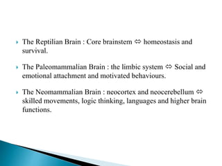 The Reptilian Brain : Core brainstem  homeostasis and
survival.
 The Paleomammalian Brain : the limbic system  Social and
emotional attachment and motivated behaviours.
 The Neomammalian Brain : neocortex and neocerebellum 
skilled movements, logic thinking, languages and higher brain
functions.
 
