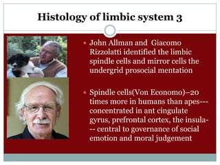 Histology of limbic system 3
 John Allman and Giacomo

Rizzolatti identified the limbic
spindle cells and mirror cells the
undergrid prosocial mentation
 Spindle cells(Von Economo)–20

times more in humans than apes--concentrated in ant cingulate
gyrus, prefrontal cortex, the insula-- central to governance of social
emotion and moral judgement

 