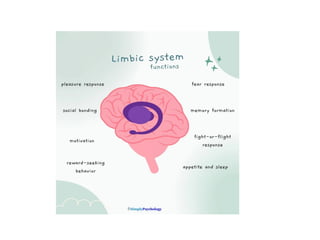 Limbec Object Limbic system, Reticular formation (1).pptx