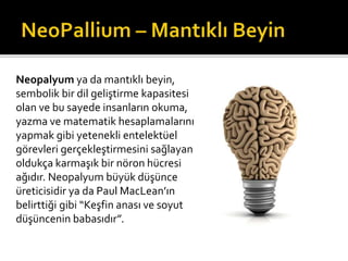Neopalyum ya da mantıklı beyin, 
sembolik bir dil geliştirme kapasitesi 
olan ve bu sayede insanların okuma, 
yazma ve matematik hesaplamalarını 
yapmak gibi yetenekli entelektüel 
görevleri gerçekleştirmesini sağlayan 
oldukça karmaşık bir nöron hücresi 
ağıdır. Neopalyum büyük düşünce 
üreticisidir ya da Paul MacLean’ın 
belirttiği gibi “Keşfin anası ve soyut 
düşüncenin babasıdır”. 
 