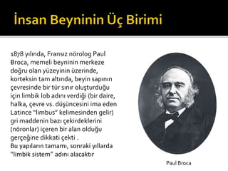 1878 yılında, Fransız nörolog Paul 
Broca, memeli beyninin merkeze 
doğru olan yüzeyinin üzerinde, 
korteksin tam altında, beyin sapının 
çevresinde bir tür sınır oluşturduğu 
için limbik lob adını verdiği (bir daire, 
halka, çevre vs. düşüncesini ima eden 
Latince “limbus” kelimesinden gelir) 
gri maddenin bazı çekirdeklerini 
(nöronlar) içeren bir alan olduğu 
gerçeğine dikkati çekti . 
Bu yapıların tamamı, sonraki yıllarda 
“limbik sistem” adını alacaktır 
Paul Broca 
 