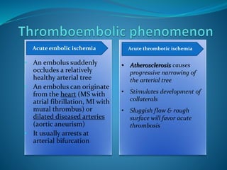 LIMB ISCHEMIA-ACUTE.pptx