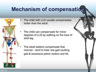 Mechanism of compensation
• The child with LLD usually compensates
better than the adult.
• The child can compensate for minor
degrees of LLD by walking on the toes of
shot leg.
• The adult seldom compensate that
manner - tend to heel -toe gait:vaulting
gait & excessive pelvic motion and tilt.
 