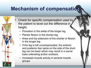 Mechanism of compensation
• Check for specific compensation used by
the patient to level out the difference in
height.
– Pronation in the ankle of the longer leg
– Plantar flexion in the shorter leg
– Knee and hip extension of the shorter or flexion
in the longer leg
– If the leg is left uncompensated, the anterior
and posterior iliac spine on the side of the short
leg can be lower which may result in a sacral
base unleveling and/or scoliosis.
– Increased muscle activity in several muscle
groups
 