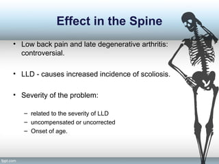 Effect in the Spine
• Low back pain and late degenerative arthritis:
controversial.
• LLD - causes increased incidence of scoliosis.
• Severity of the problem:
– related to the severity of LLD
– uncompensated or uncorrected
– Onset of age.
 