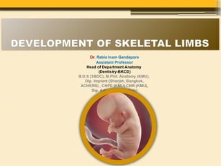 Development of Limbs by Dr. Rabia Inam Gandapore.pptx