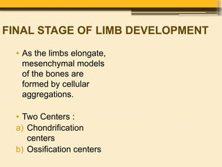 Development of Limbs by Dr. Rabia Inam Gandapore.pptx