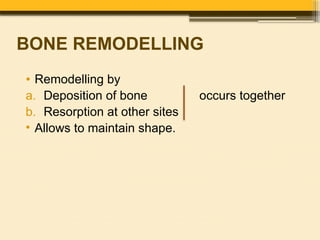Development of Limbs by Dr. Rabia Inam Gandapore.pptx