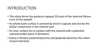 INTRODUCTION
• The sclera forms the posterior opaque 5/6 part of the external fibrous
tunic of the eyeball.
• Its whole outer surface is covered by tenon’s capsule and also by the
bulbar conjunctiva in the anterior part.
• Its inner surface lies in contact with the choroid with a potential
suprachoroidal space in bertween.
• Sclera is thickest posteriorly(1mm) and gradually becomes thin when
traced anteriorly.
 