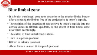 Limbus of the Eye: Anatomy, Functions, and Clinical Significance | PPTX