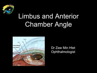 Limbus and Anterior
Chamber Angle
Dr Zaw Min Htet
Ophthalmologist
 