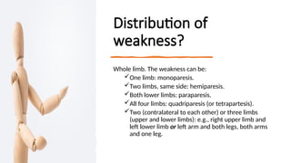 Distribution of
weakness?
Whole limb. The weakness can be:
One limb: monoparesis.
Two limbs, same side: hemiparesis.
Both lower limbs: paraparesis.
All four limbs: quadriparesis (or tetrapartesis).
Two (contralateral to each other) or three limbs
(upper and lower limbs): e.g., right upper limb and
left lower limb or left arm and both legs, both arms
and one leg.
 
