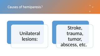 Causes of hemiparesis?
Unilateral
lesions:
Stroke,
trauma,
tumor,
abscess, etc.
 