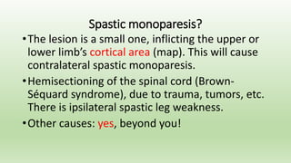 Spastic monoparesis?
•The lesion is a small one, inflicting the upper or
lower limb’s cortical area (map). This will cause
contralateral spastic monoparesis.
•Hemisectioning of the spinal cord (Brown-
Séquard syndrome), due to trauma, tumors, etc.
There is ipsilateral spastic leg weakness.
•Other causes: yes, beyond you!
 