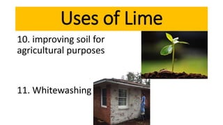 10. improving soil for
agricultural purposes
11. Whitewashing
Uses of Lime
 