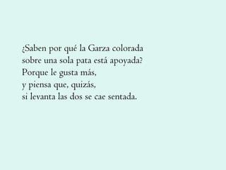 ¿Saben por qué la Garza colorada sobre una sola pata está apoyada? Porque le gusta más, y piensa que, quizás, si levanta las dos se cae sentada. 