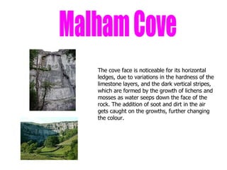 Malham Cove The cove face is noticeable for its horizontal ledges, due to variations in the hardness of the limestone layers, and the dark vertical stripes, which are formed by the growth of lichens and mosses as water seeps down the face of the rock. The addition of soot and dirt in the air gets caught on the growths, further changing the colour.  
