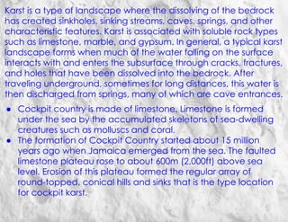 Karst is a type of landscape where the dissolving of the bedrock
has created sinkholes, sinking streams, caves, springs, and other
characteristic features. Karst is associated with soluble rock types
such as limestone, marble, and gypsum. In general, a typical karst
landscape forms when much of the water falling on the surface
interacts with and enters the subsurface through cracks, fractures,
and holes that have been dissolved into the bedrock. After
traveling underground, sometimes for long distances, this water is
then discharged from springs, many of which are cave entrances.
● Cockpit country is made of limestone. Limestone is formed
under the sea by the accumulated skeletons of sea-dwelling
creatures such as molluscs and coral.
● The formation of Cockpit Country started about 15 million
years ago when Jamaica emerged from the sea. The faulted
limestone plateau rose to about 600m (2,000ft) above sea
level. Erosion of this plateau formed the regular array of
round-topped, conical hills and sinks that is the type location
for cockpit karst.
 