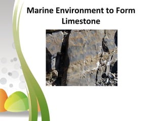 Marine Environment to Form 
Limestone
 