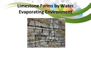 Limestone Forms by Water 
Evaporating Environment
 