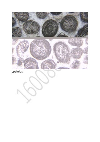 ,peloids
 