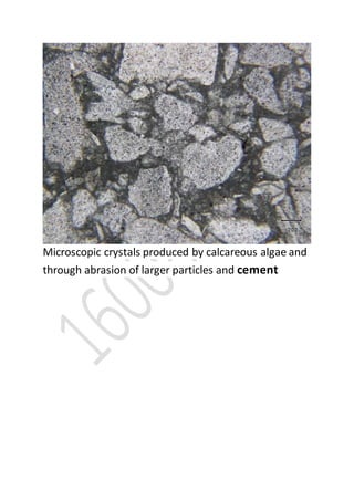 Microscopic crystals produced by calcareous algae and
through abrasion of larger particles and cement
 