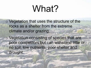What?
o Vegetation that uses the structure of the
rocks as a shelter from the extreme
climate and/or grazing.
o Vegetation consisting of species that are
poor competitors but can withstand little or
no soil, low nutrients, poor shelter and
drought.

 
