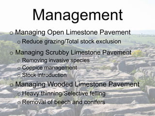 Management
o Managing Open Limestone Pavement
o Reduce grazing/Total stock exclusion

o Managing Scrubby Limestone Pavement
o Removing invasive species
o Coppice management
o Stock introduction

o Managing Wooded Limestone Pavement
o Heavy thinning/Selective felling
o Removal of beech and conifers

 
