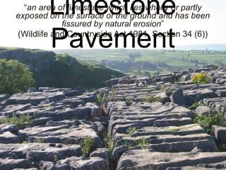 Limestone
Pavement

“an area of limestone which lies wholly or partly
exposed on the surface of the ground and has been
fissured by natural erosion”
(Wildlife and Countryside Act 1981, Section 34 (6))

 