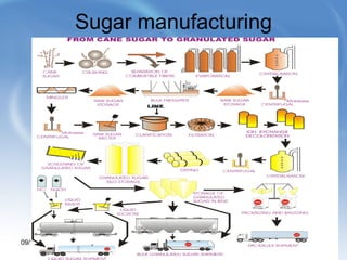 Sugar manufacturing 