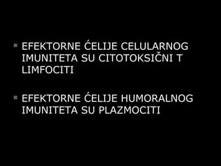  EFEKTORNE ĆELIJE CELULARNOGEFEKTORNE ĆELIJE CELULARNOG
IMUNITETA SU CITOTOKSIČNI TIMUNITETA SU CITOTOKSIČNI T
LIMFOCITILIMFOCITI
 EFEKTORNE ĆELIJE HUMORALNOGEFEKTORNE ĆELIJE HUMORALNOG
IMUNITETA SU PLAZMOCITIIMUNITETA SU PLAZMOCITI
 