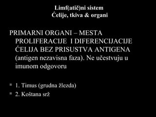 Limf(atič)ni sistemLimf(atič)ni sistem
Ćelije, tkiva & organiĆelije, tkiva & organi
PRIMARNI ORGANI – MESTAPRIMARNI ORGANI – MESTA
PROLIFERACIJE I DIFERENCIJACIJEPROLIFERACIJE I DIFERENCIJACIJE
ĆELIJA BEZ PRISUSTVA ANTIGENAĆELIJA BEZ PRISUSTVA ANTIGENA
(antigen nezavisna faza)(antigen nezavisna faza). Ne učestvuju u. Ne učestvuju u
imunom odgovoruimunom odgovoru
 1. Timus (grudna žlezda)1. Timus (grudna žlezda)
 2. Koštana srž2. Koštana srž
 