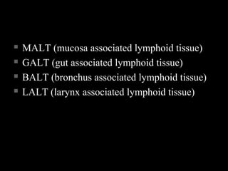  MALT (mucosa associated lymphoid tissue)MALT (mucosa associated lymphoid tissue)
 GALT (gut associated lymphoid tissue)GALT (gut associated lymphoid tissue)
 BALT (bronchus associated lymphoid tissue)BALT (bronchus associated lymphoid tissue)
 LALT (larynx associated lymphoid tissue)LALT (larynx associated lymphoid tissue)
 